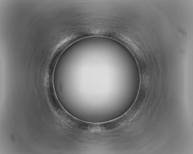 X0000116560587200912101452
