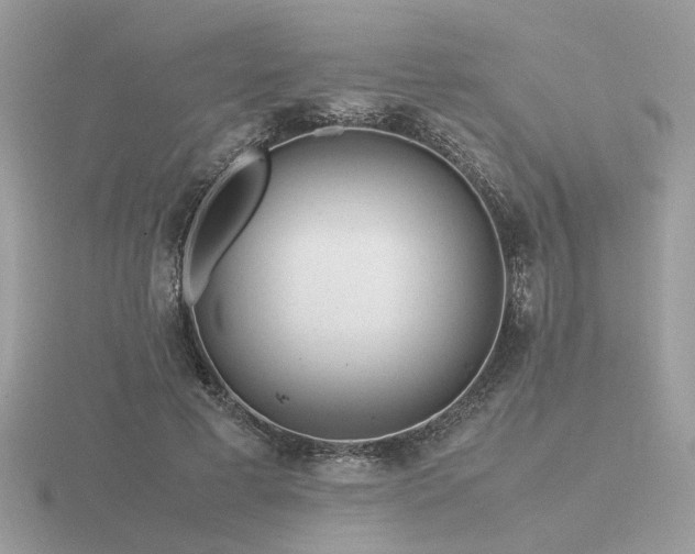 X0000116560593200912101452