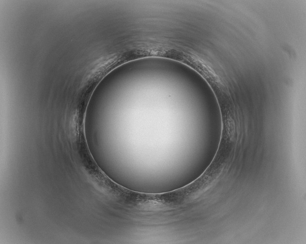 X0000116560594200912101452