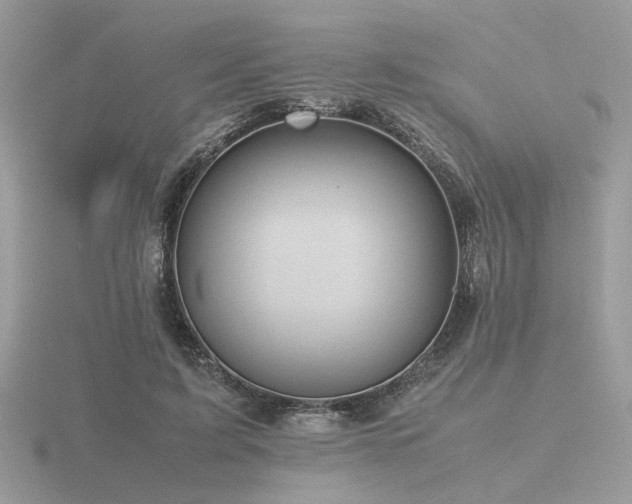 X0000116560595200912101452
