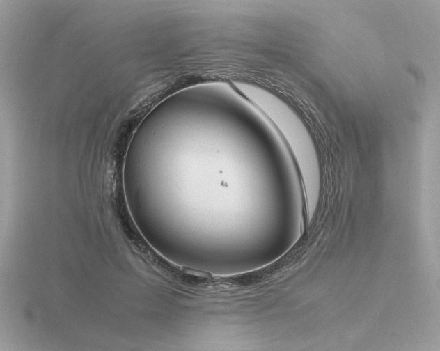 X0000116560599200912101451