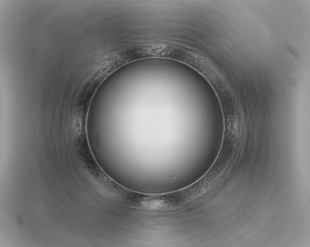 X0000116560602200912101451