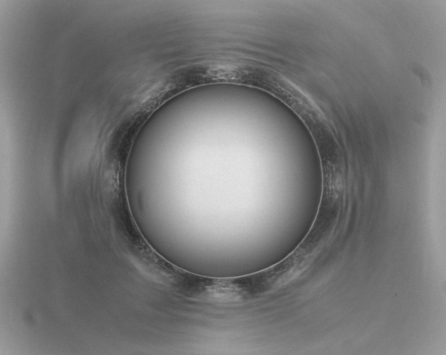 X0000116560603200912101451