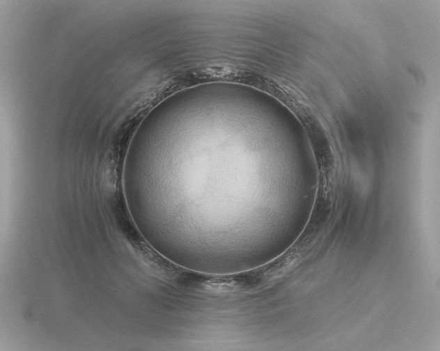 X0000116560606200912101451