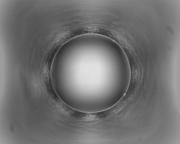 X0000116560609200912101451