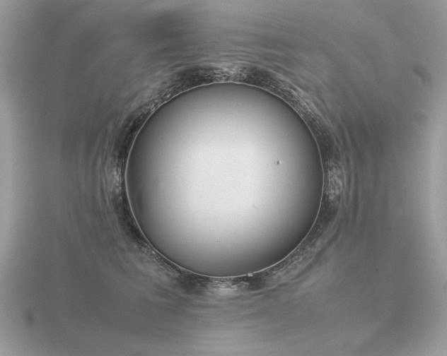X0000116560613200912101451