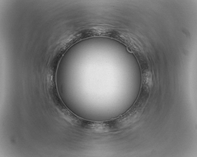 X0000116560615200912101451
