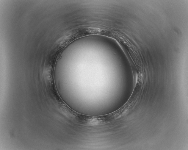 X0000116560616200912101451