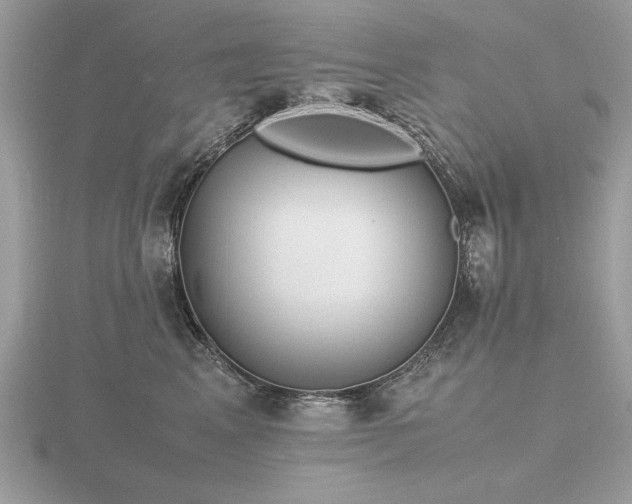 X0000116560617200912101451