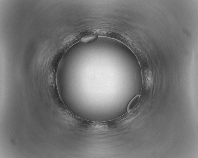 X0000116560619200912101451