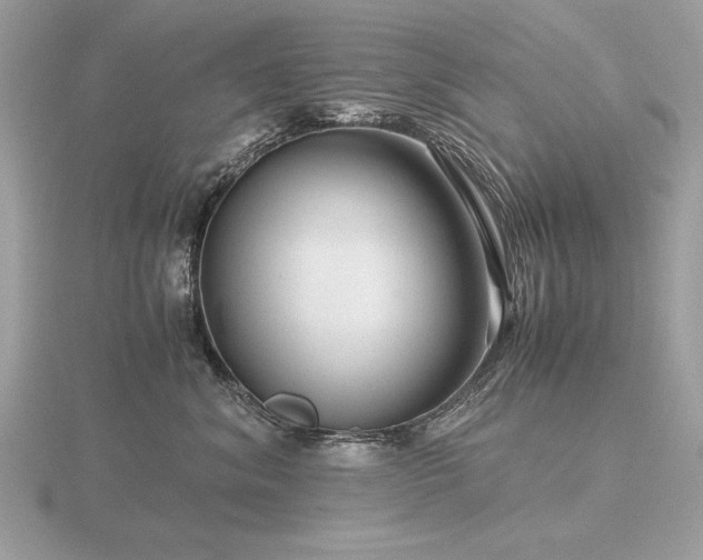 X0000116560620200912101451
