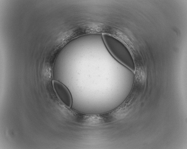 X0000116560621200912101451