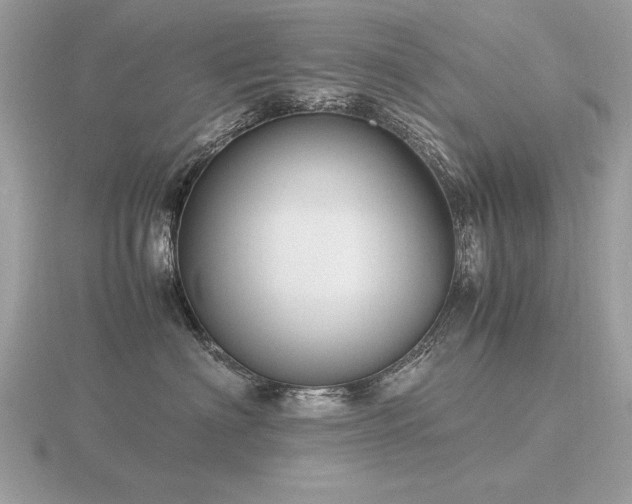 X0000116560622200912101451