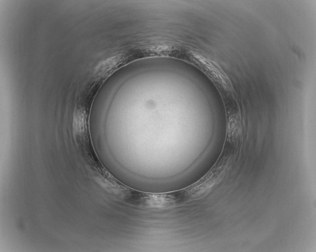 X0000116560623200912101451