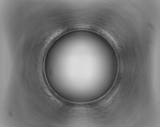 X0000116560625200912101451