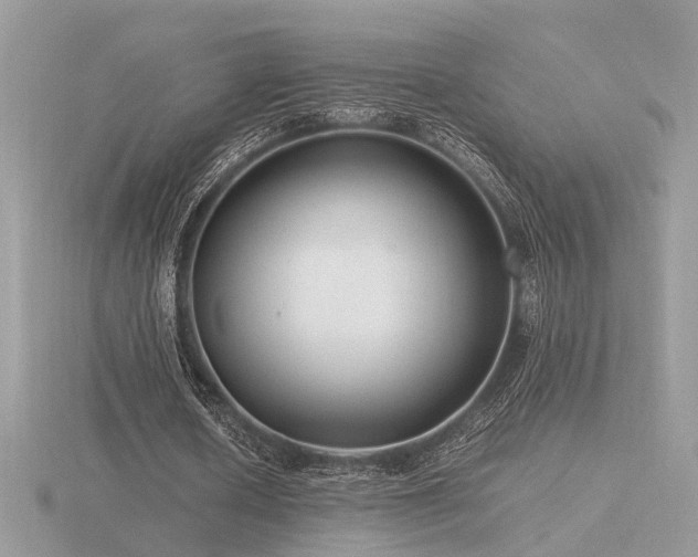 X0000116560626200912101451