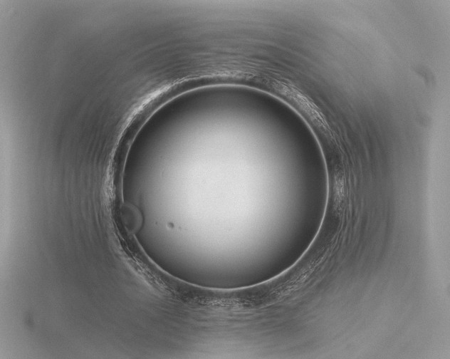 X0000116560628200912101451