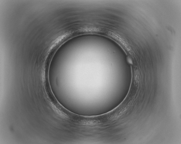 X0000116560629200912101451