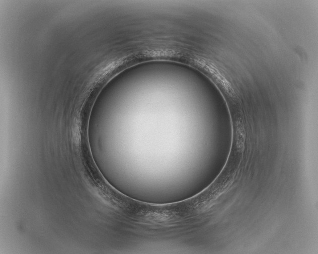 X0000116560631200912101451