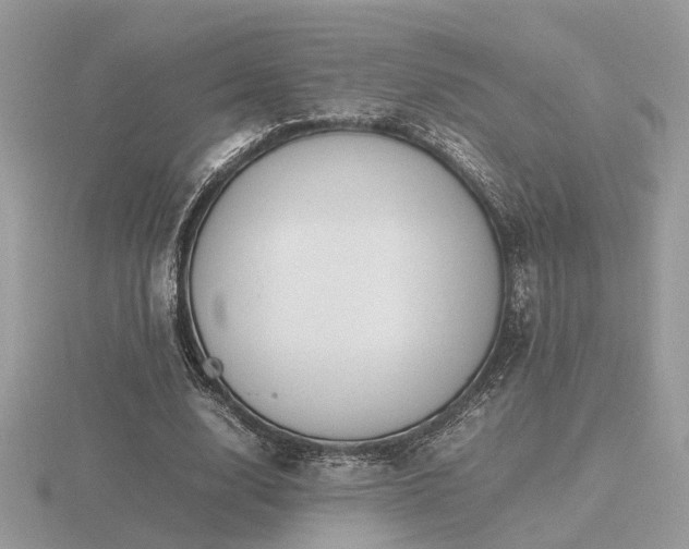 X0000116560632200912101451
