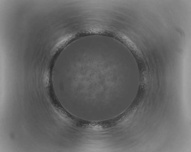 X0000116560640200912101451