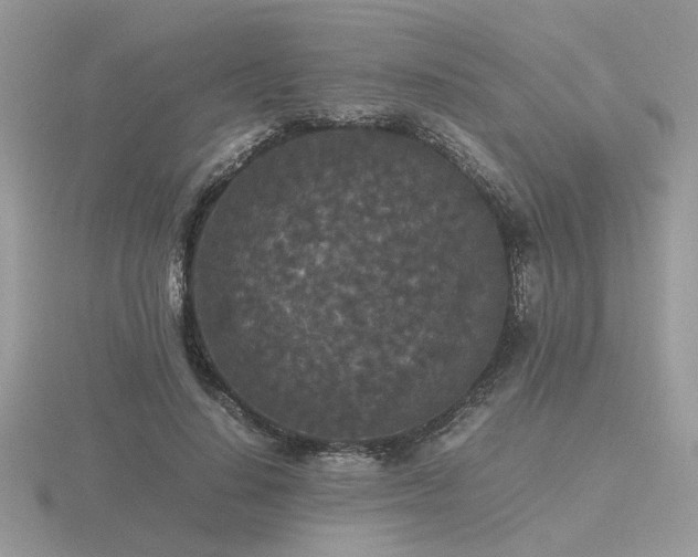 X0000116560644200912101451