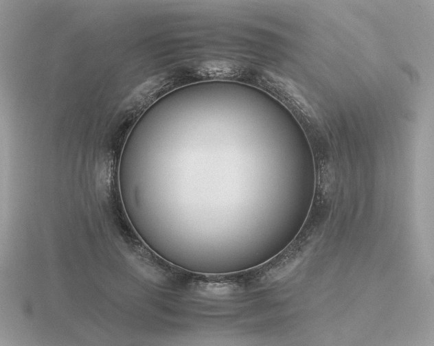 X0000116560645200912101451