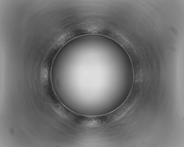 X0000116560646200912101451
