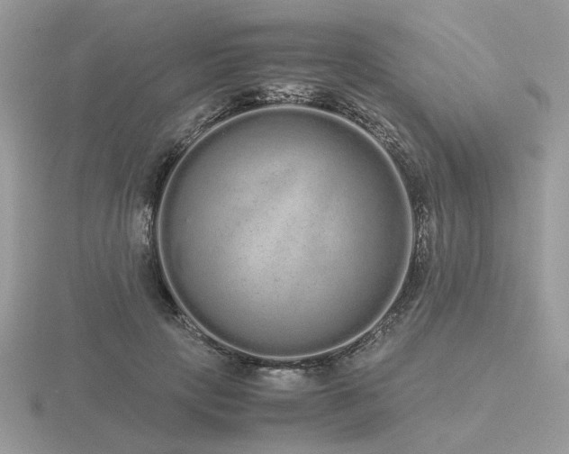 X0000116560649200912101451