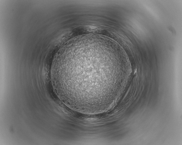X0000116560653200912101451