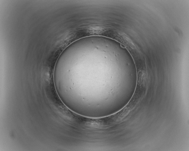 X0000116560655200912101451