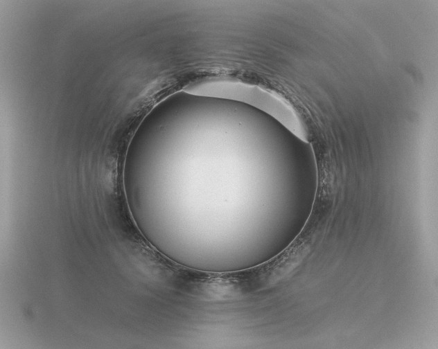 X0000116560656200912101451
