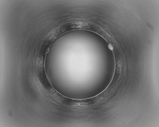 X0000116560657200912101451