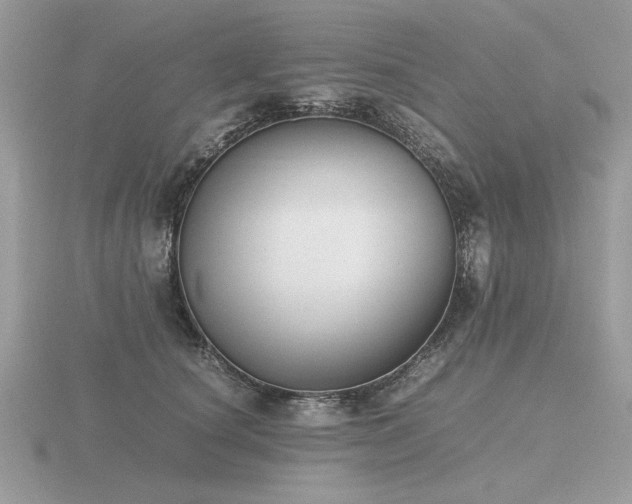 X0000116560660200912101451