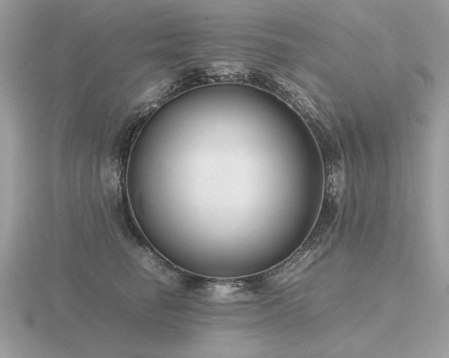 X0000116560662200912101451