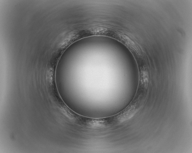 X0000116560664200912101451