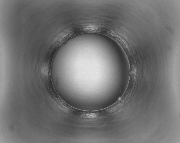 X0000116560665200912101451