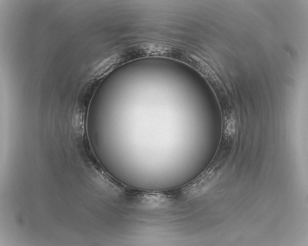 X0000116560666200912101451