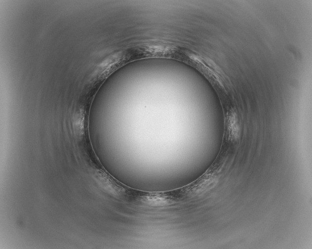 X0000116560668200912101451