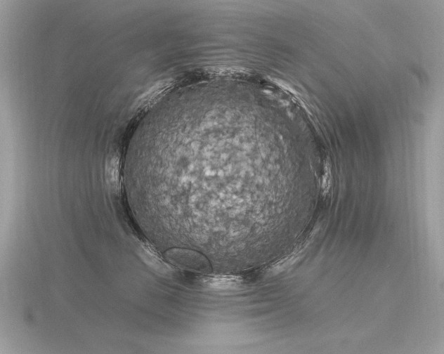 X0000116560670200912101451