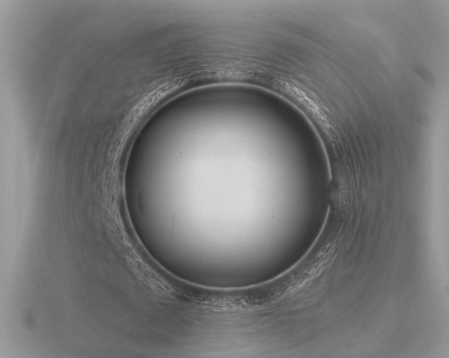 X0000116560673200912101451