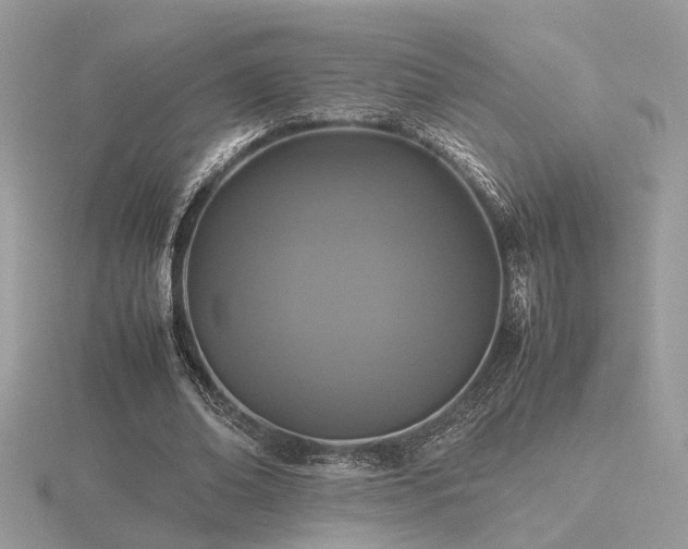 X0000116560678200912101450