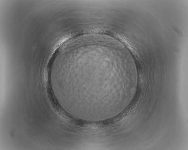 X0000116560679200912101450