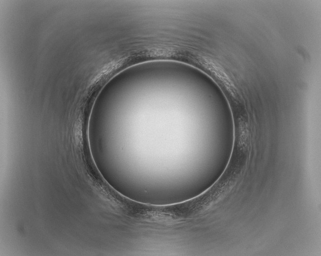 X0000116560681200912101450