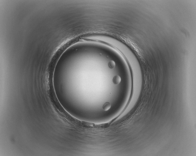 X0000116560684200912101450