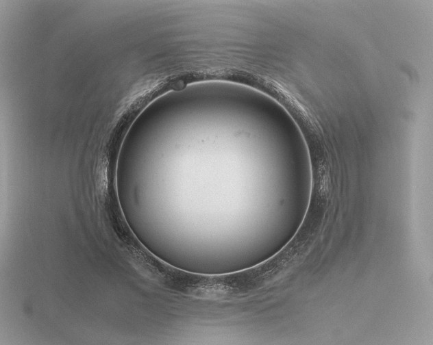 X0000116560685200912101450
