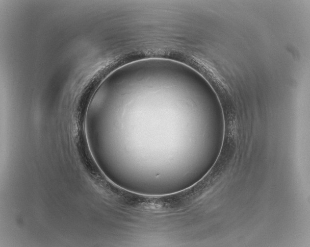 X0000116560687200912101450