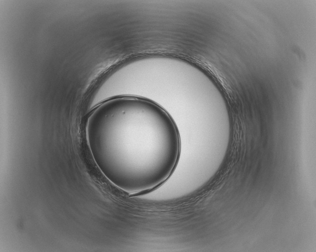 X0000116560688200912101450