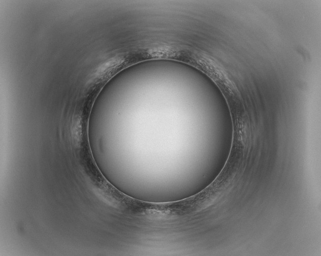 X0000116560690200912101450