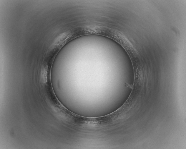 X0000116560694200912101450